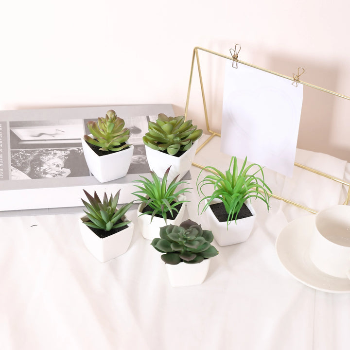 Succulent Paradise: Set of 6 Mini Artificial Plants for Stylish Home Decor