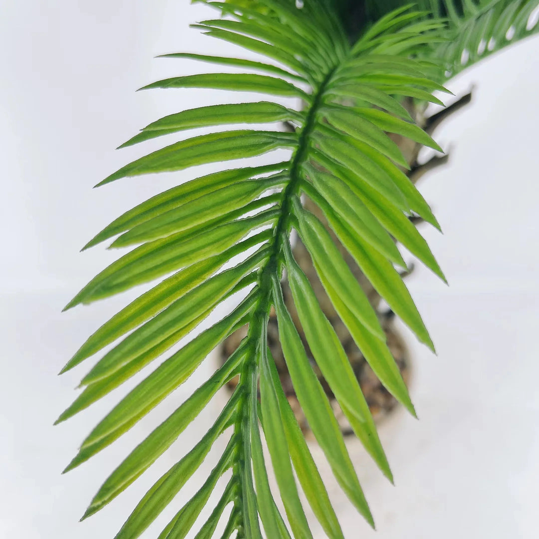 Tropical Coconut Palm Bonsai Tree with Stone and Ceramic Flowerpot - Versatile Indoor/Outdoor Decor Piece