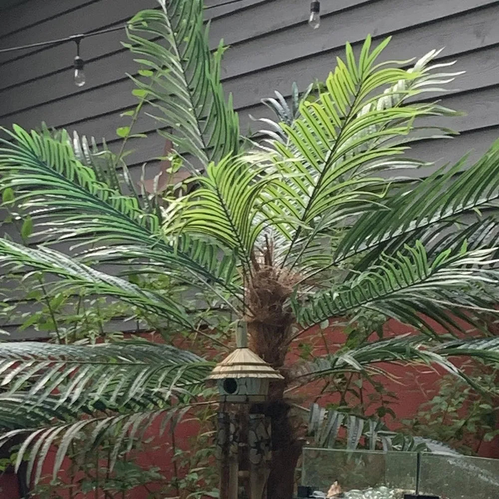 Artificial Phoenix Palm Tree - 190/220cm - Tropical Indoor/Outdoor Decor