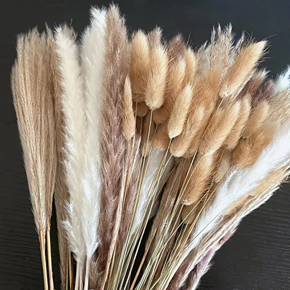 Boho Chic Dried Pampas Grass Set for Home Decor and Events